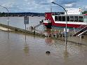 Hochwasser (315)